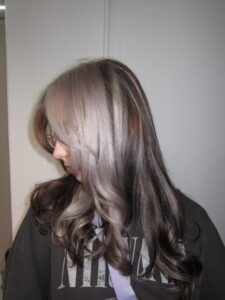 A stunning creative colour block hair transformation at Assort Melbourne, featuring a high-contrast silver section against natural dark hair with a glossy K18 finish.