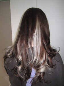 A stunning creative colour block hair transformation at Assort Melbourne, featuring a high-contrast silver section against natural dark hair with a glossy K18 finish.