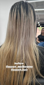 Before hair transformation at Assort Melbourne showing outgrown bleach shifted to an even, high-shine grey double process.